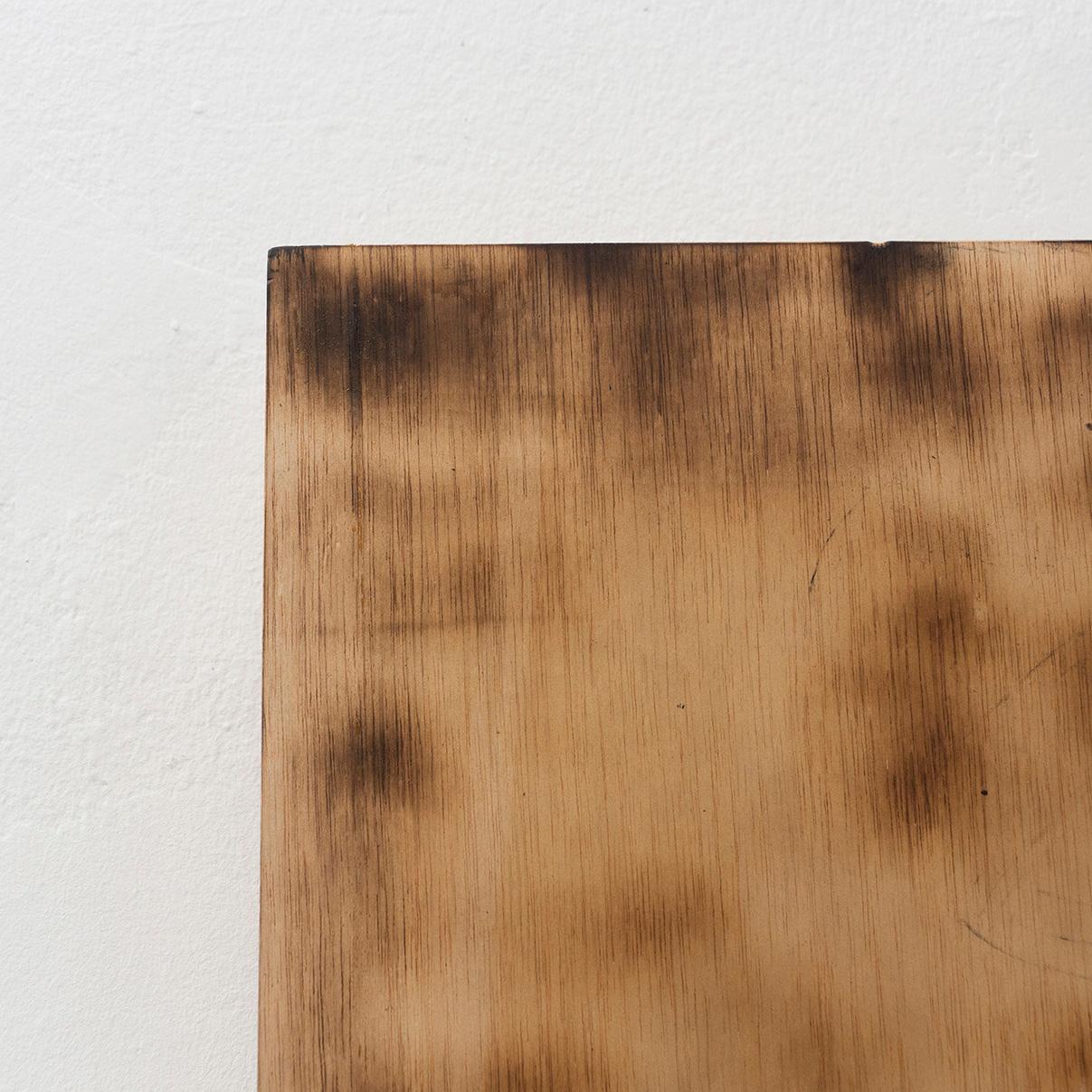 Ramon dels Horts Contemporary Artwork Burned Wood, circa 2018 In Good Condition For Sale In Barcelona, Barcelona