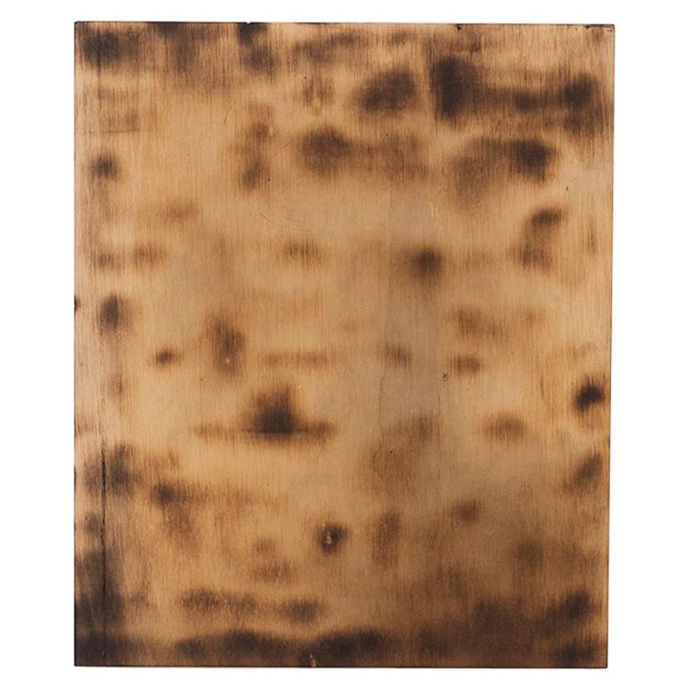 Ramon dels Horts Contemporary Artwork Burned Wood, circa 2018 For Sale