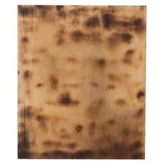 Ramon dels Horts Obra de Arte Contemporáneo Madera Quemada, circa 2018