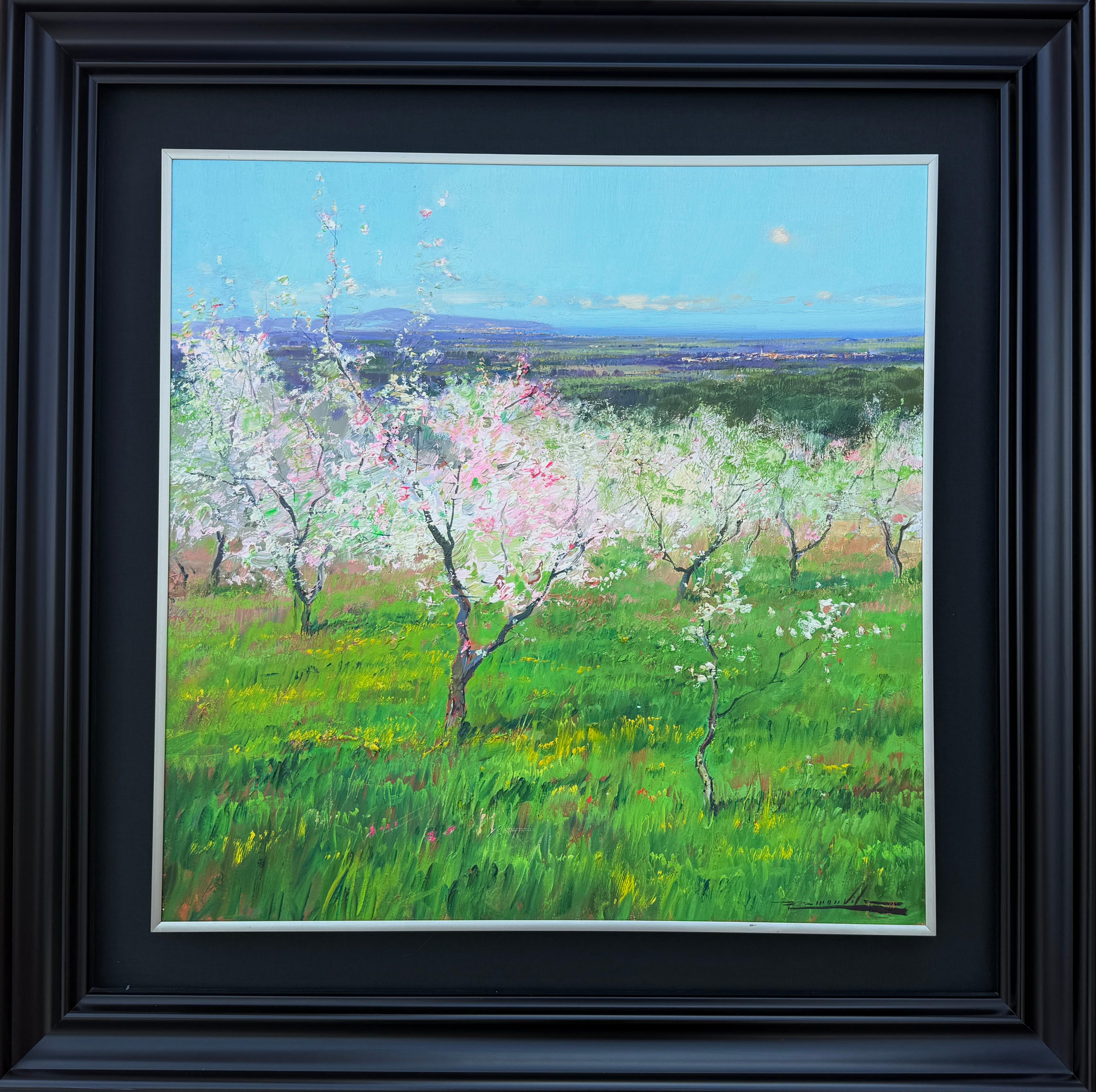 Almond Trees in Bloom oil on canvas painting Spain mediterranean landscape - Painting by Ramon Vilà Estudis
