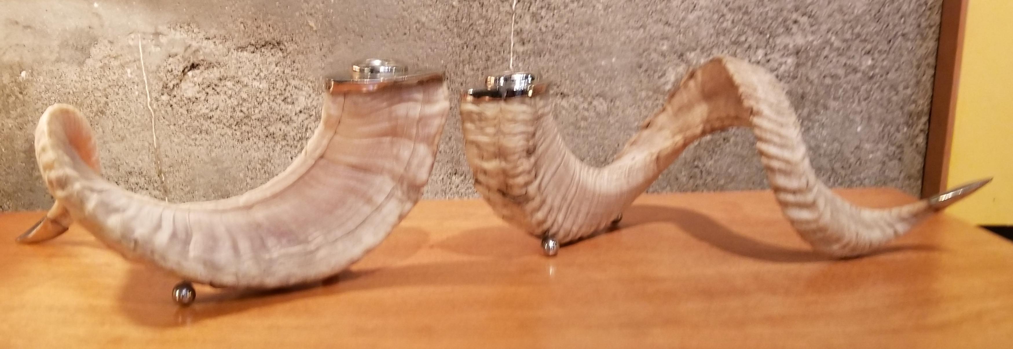 Organic pair of candlesticks made of authentic rams Horn. Chrome-plated brass mounts. Measurements are for each candlestick.