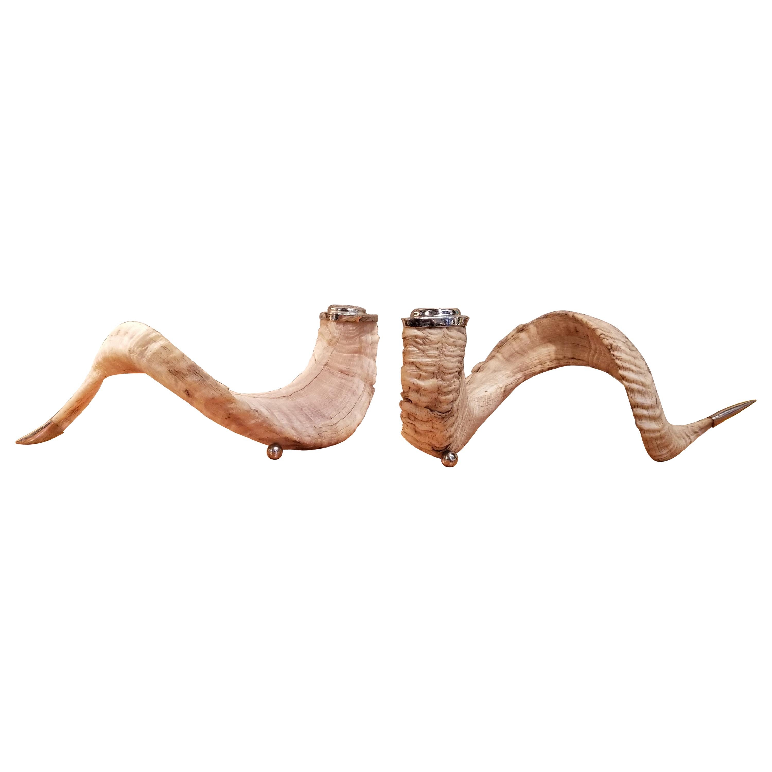 Rams Horn Candlesticks