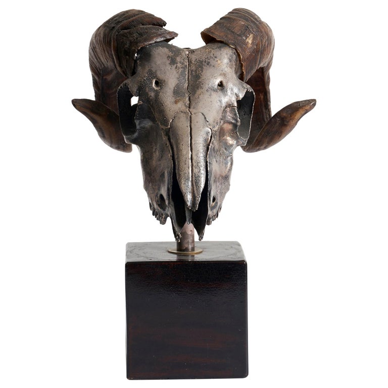 Ram's Skull Silver Plated For Sale