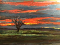 Evening sky over Sacramento, Painting, Acrylic on Canvas