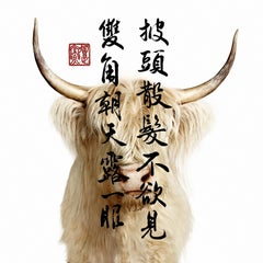 "Blonde Highland Cow Collaboration with Steven C. Rockefeller Jr." (48" x 48")