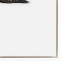 "Chimpanzee No. 2" Contemporary Animal Portrait Photograph on Aluminum Framed