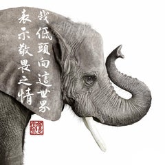 Randal Ford - Éléphant africain, photographie 2023, imprimée d'après