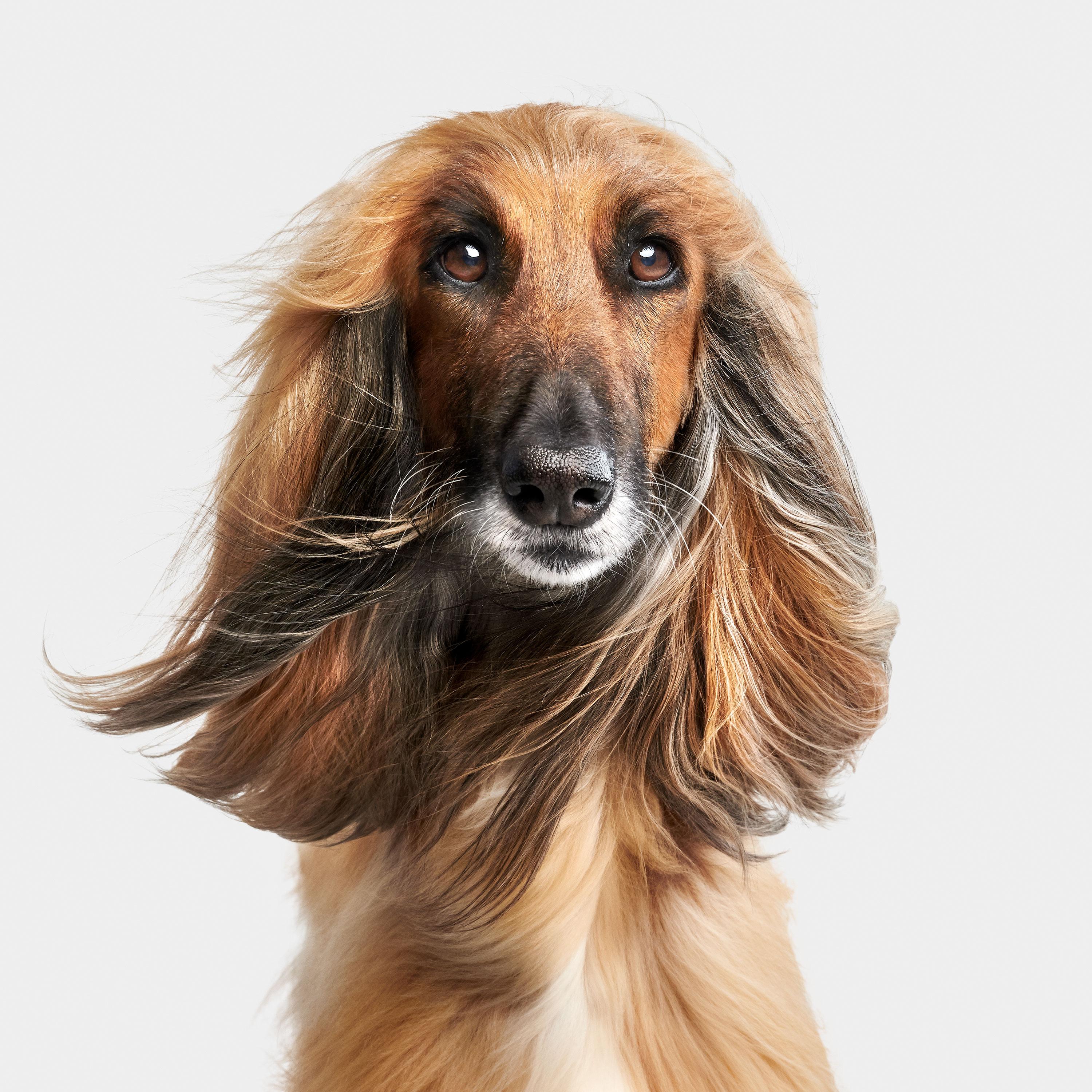 Medium Fotografía de retratos