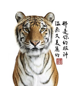 Randal Ford - Bengal Tiger, Photography 2023, Printed After