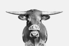 Randal Ford - Bevo XV (BW), Photography 2018, Printed After