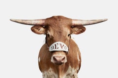 Randal Ford - Bevo XV, Photography 2018, Printed After