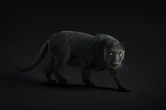 Randal Ford - Black Leopard #23, Photography 2018, Printed After