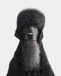 Portrait Photography