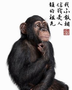Randal Ford Contemplative Chimpanzee Collaboration with Steven C. Rockefeller Jr