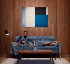 Randal Ford - Couch Chameleons, Photography 2023, Printed After