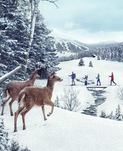 Randal Ford - Cross Country Sighting, Photography 2023, Printed After