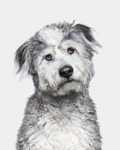 Randal Ford - Darwin, Photography 2020, Printed After