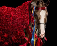 Randal Ford - Decorated Saddlebred Arabian Mare, Photography 2024, Printed After