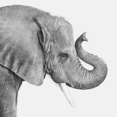 Randal Ford - Éléphant n° 2 (BW), photographie 2024, imprimée d'après