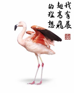 Randal Ford – Flamingo fliegen lässt, 2023, Druck nach