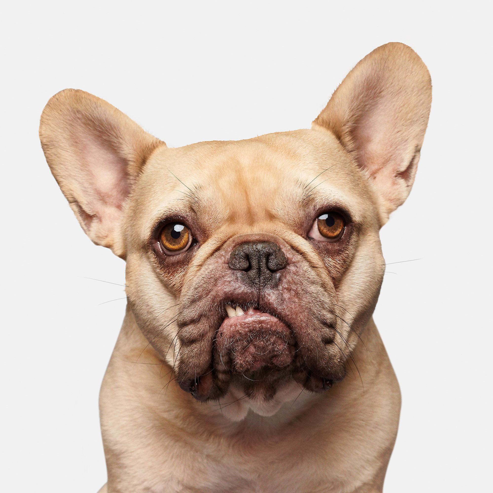 Randal Ford - Franklin, Photography 2020, Printed After