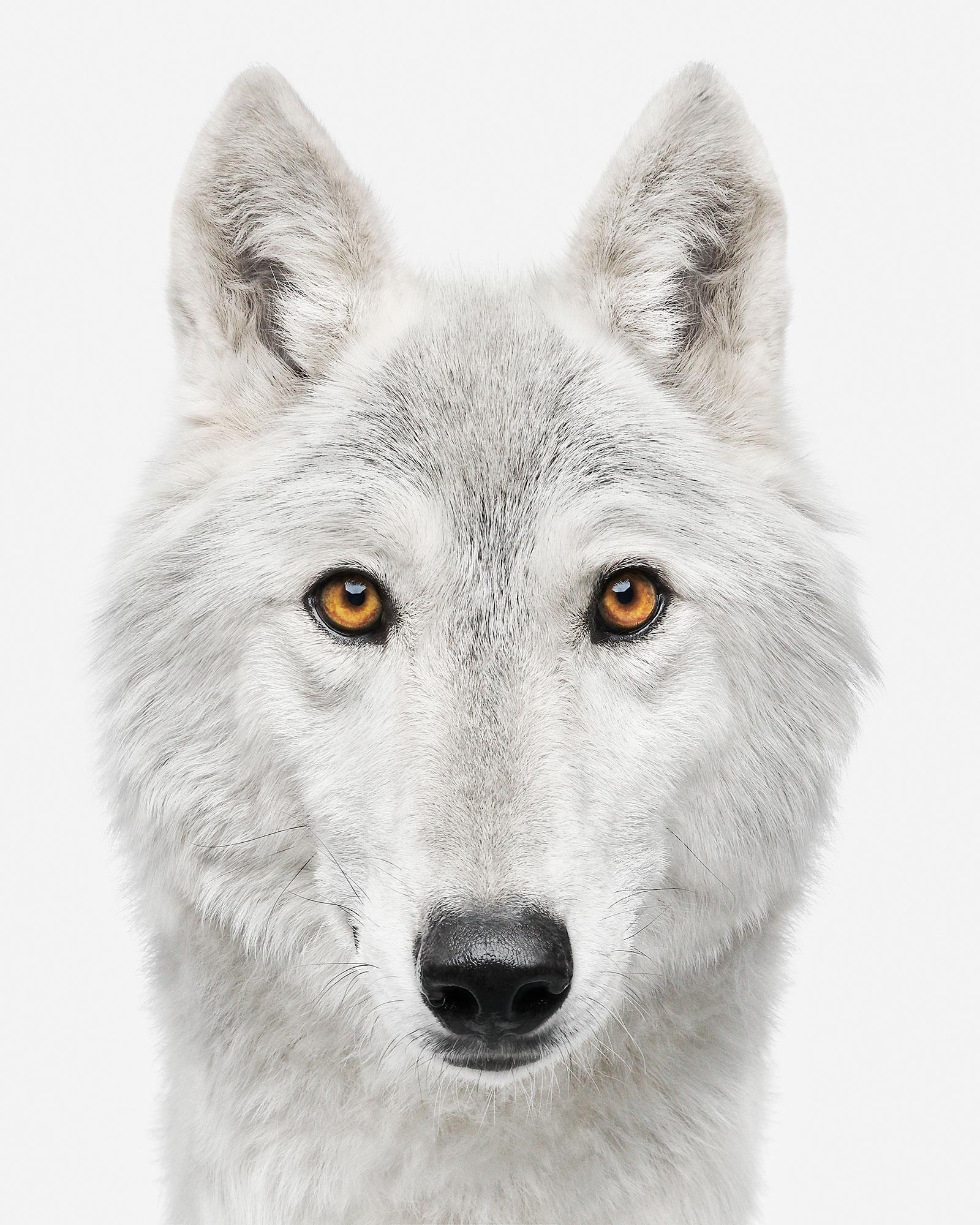 Randal Ford - Hotah, photographie 2020, imprimée d'après