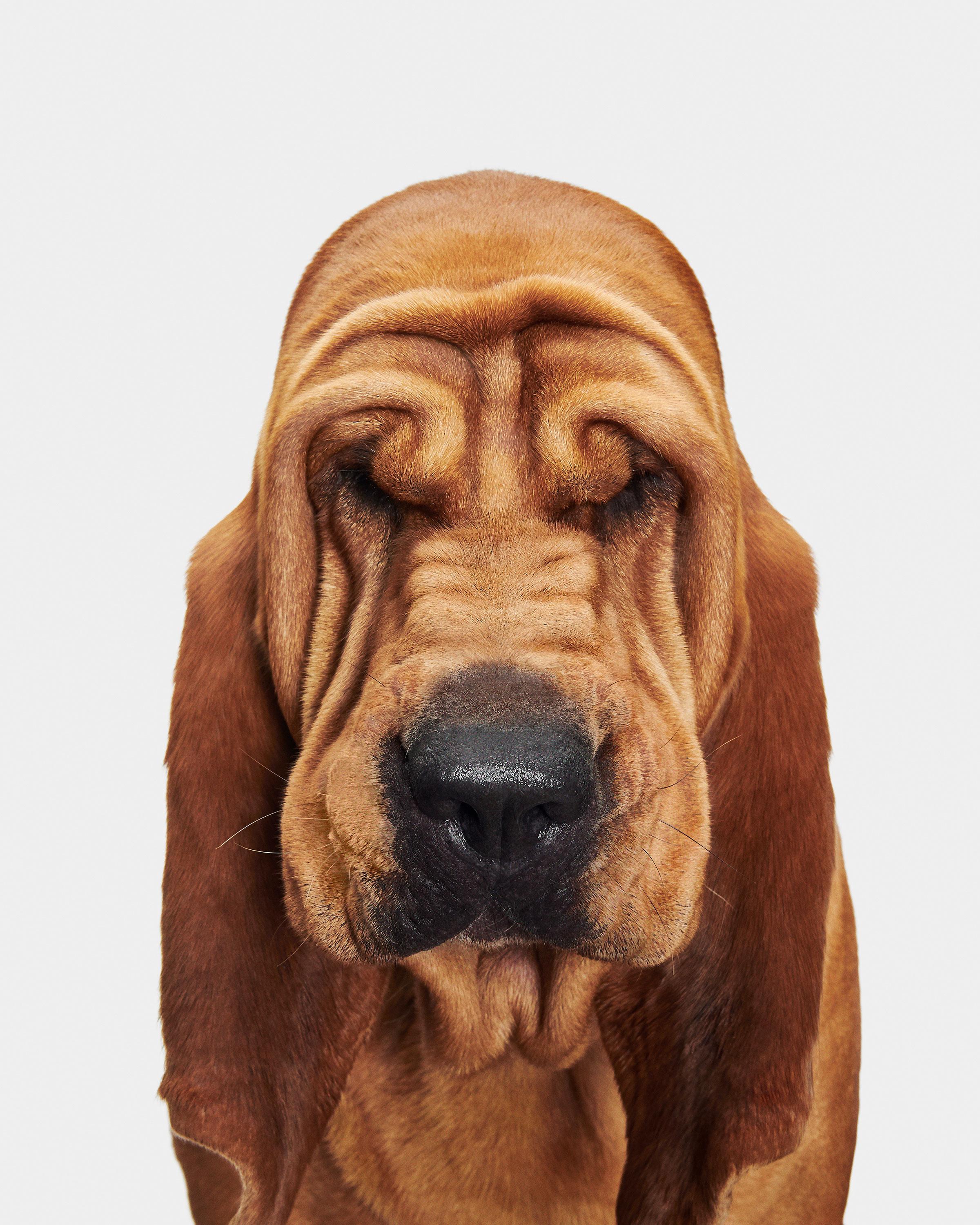 Randal Ford - Jupiter n° 1, photographie 2020, imprimée d
après