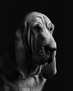 Randal Ford - Jupiter No. 2 (BW), Fotografia 2024, Stampato Dopo