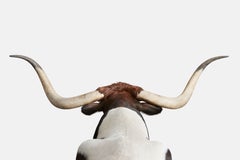 Randal Ford - Longhorn No. 2, Photography 2018, Printed After