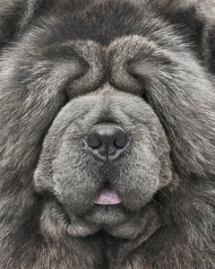 Randal Ford - Mimi, photographie 2020, imprimée d
après