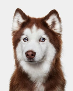 Randal Ford - Oliver, Fotografía 2020, Impresión posterior