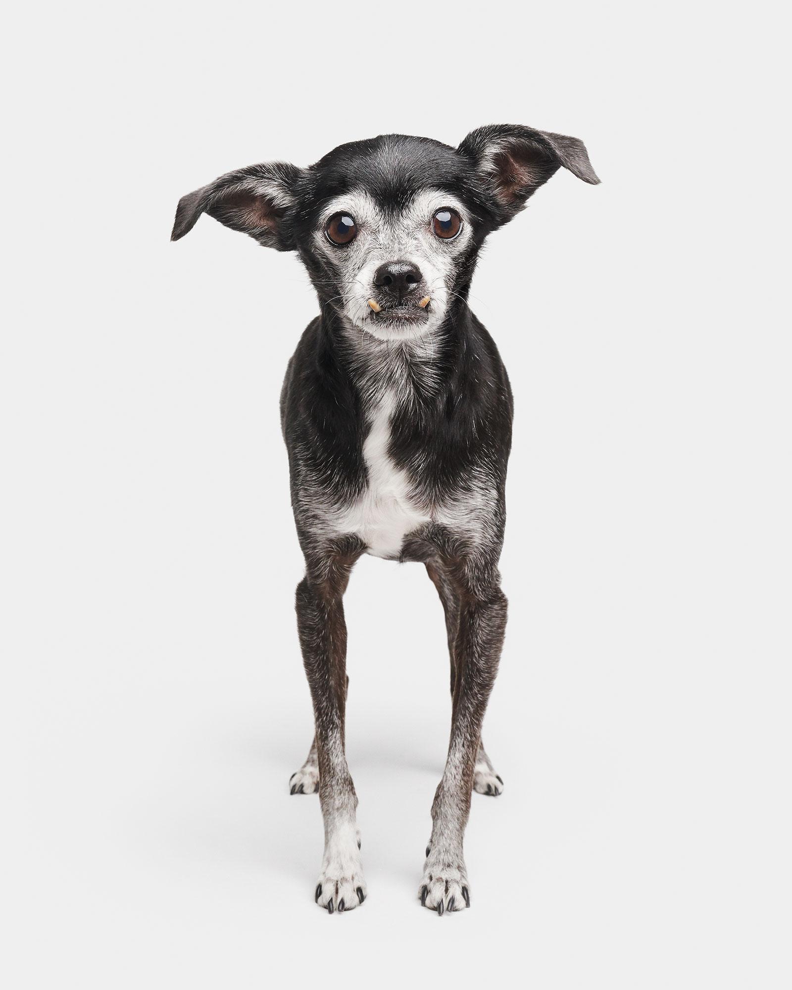 Randal Ford - Riley, Photography 2020, Printed After