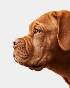 Randal Ford - Slidell n° 2, photographie 2020, imprimée d
après