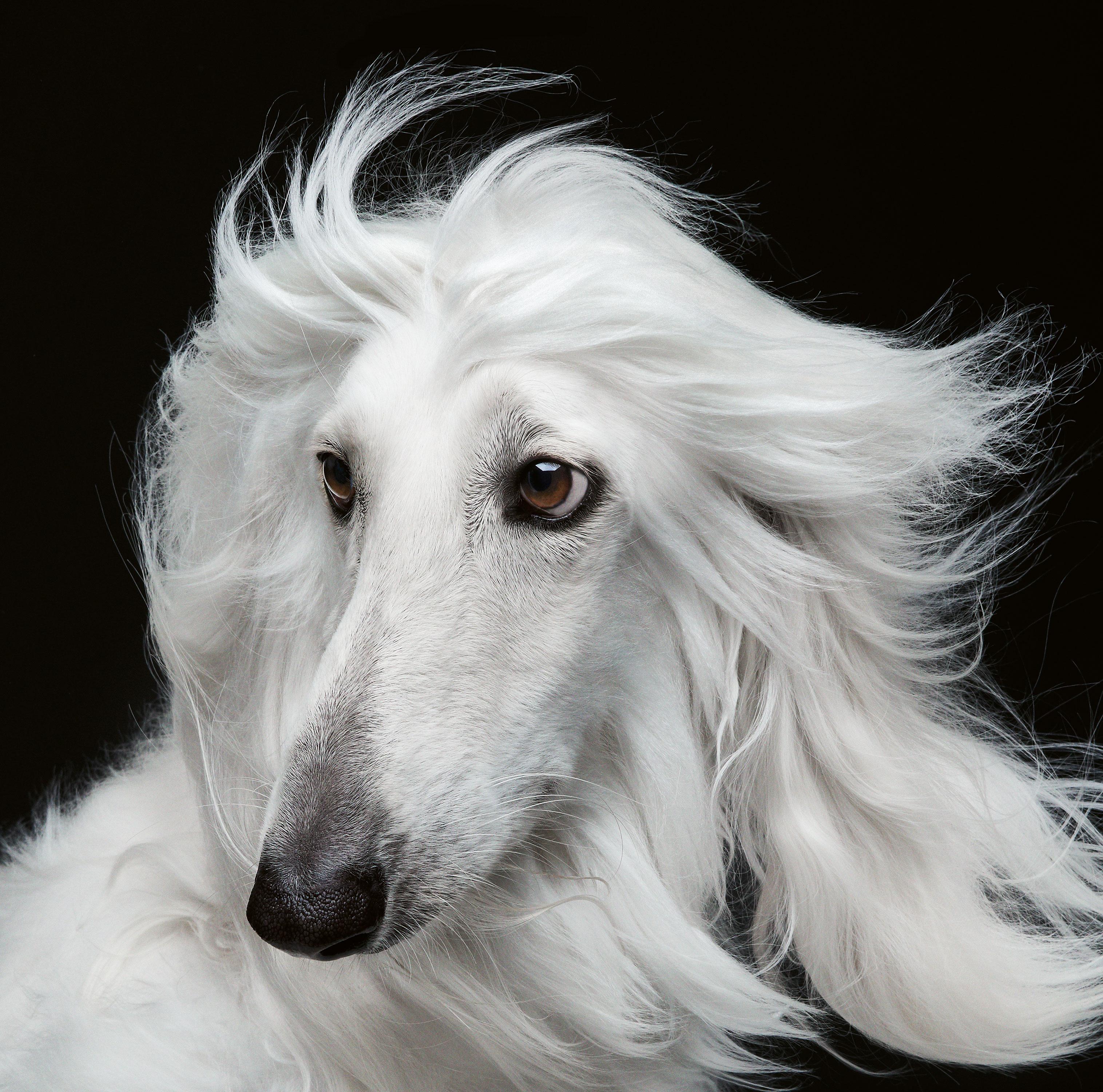 Medium Fotografía en color