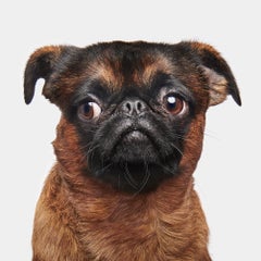 Randal Ford - Vinny, Photography 2020, Printed After