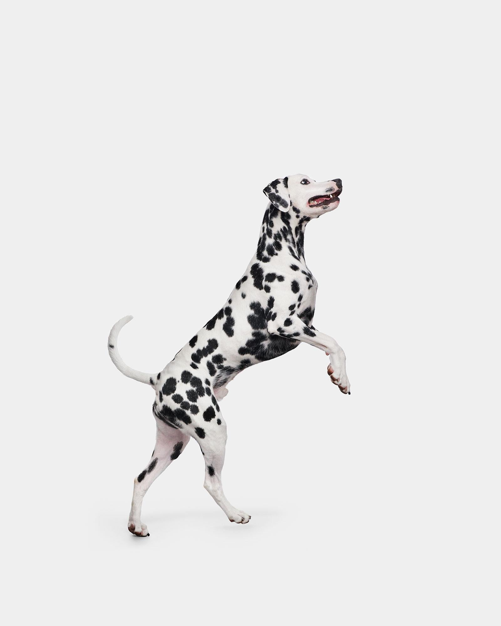 Randal Ford - Vision, Photography 2020, Imprimé d
après