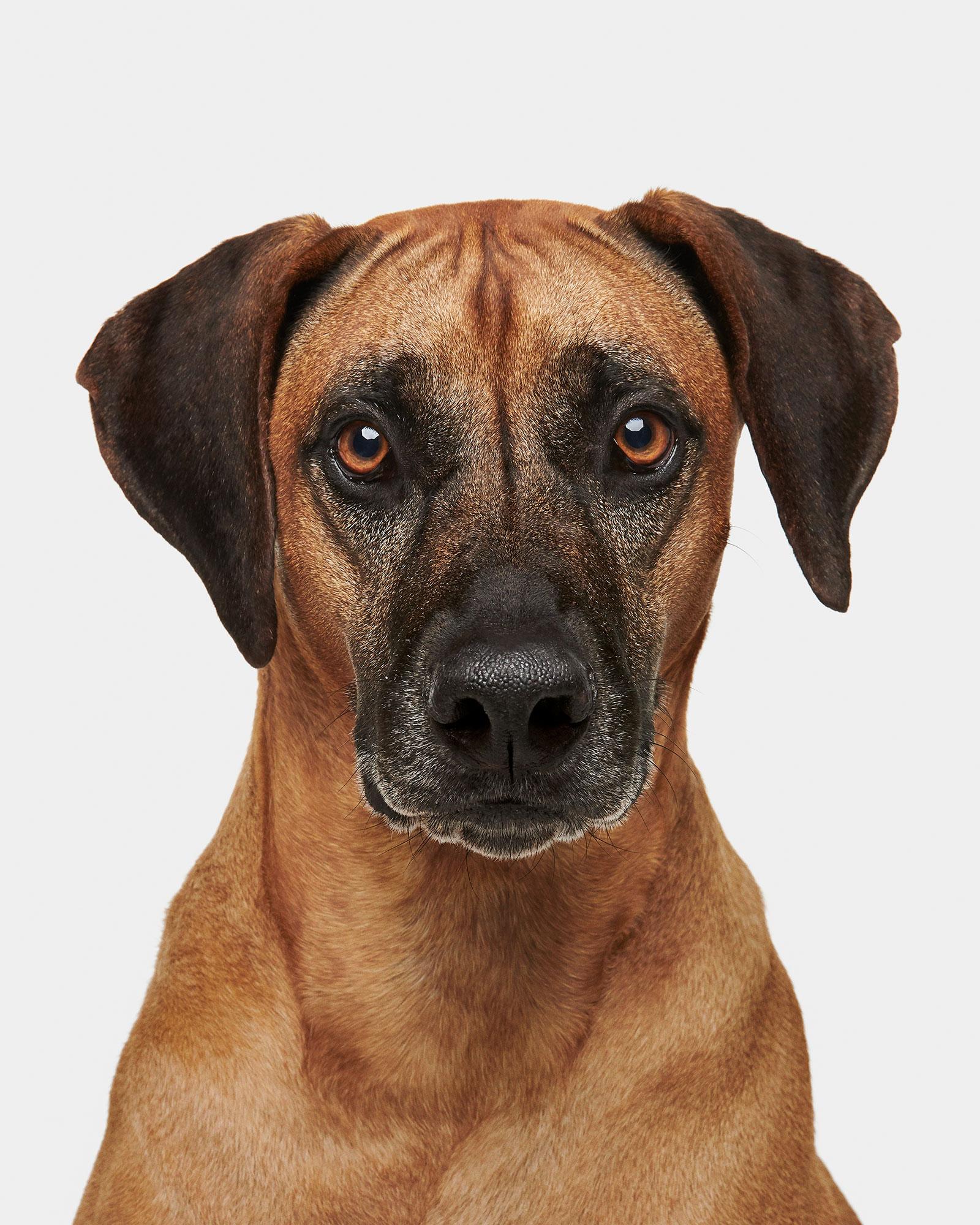 Randal Ford - Wayman, Photography 2020, Printed After