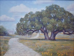 "Small Town Coreopsis" Texas Hill Country Landscape