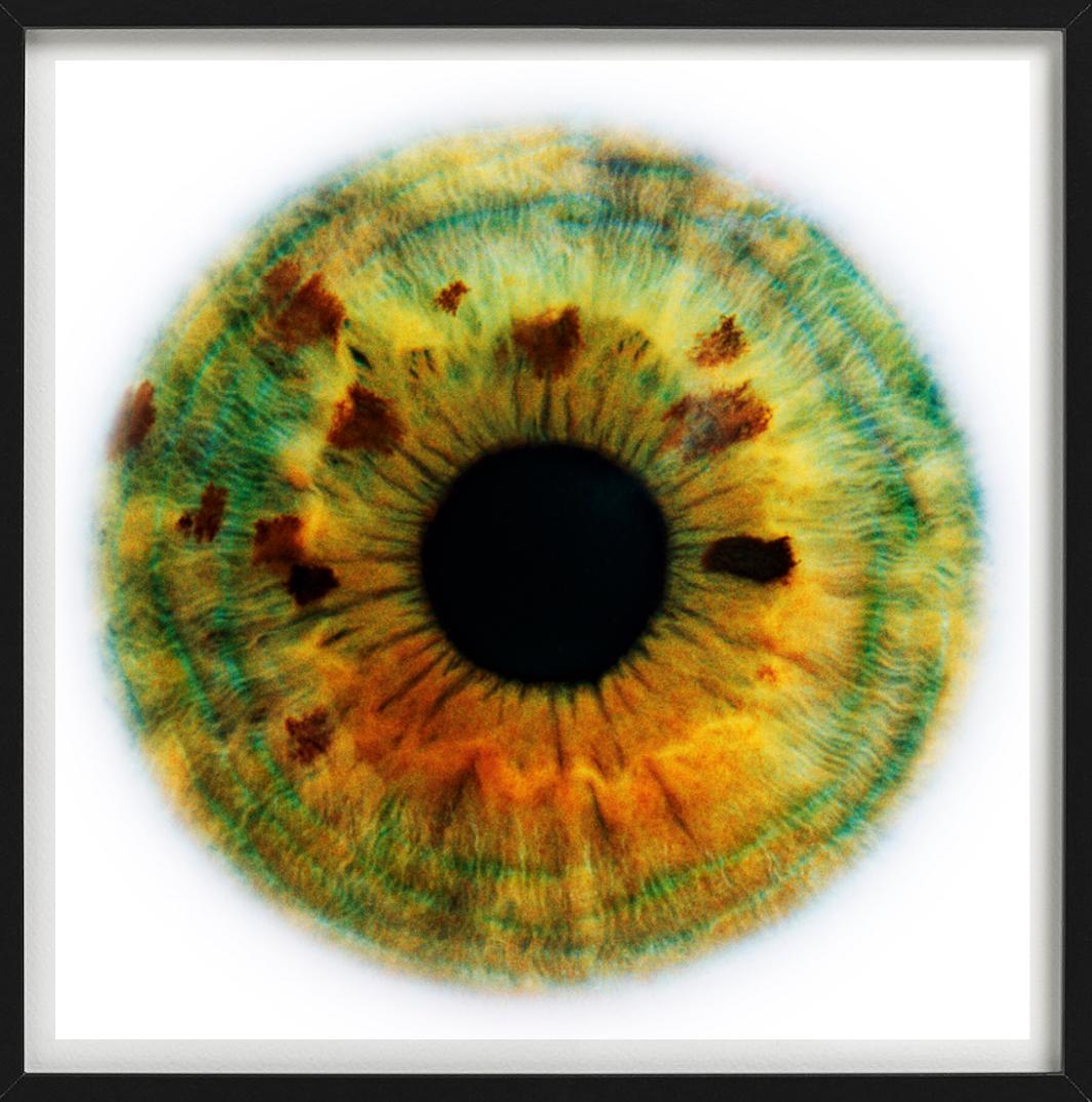 Image verte et ambre en gros plan de l'iris d'un œil humain. Format de cercle psychédélique.

Tous les tirages sont en édition limitée. Disponible en plusieurs tailles. Encadrement haut de gamme sur demande.

Toutes les impressions sont réalisées et