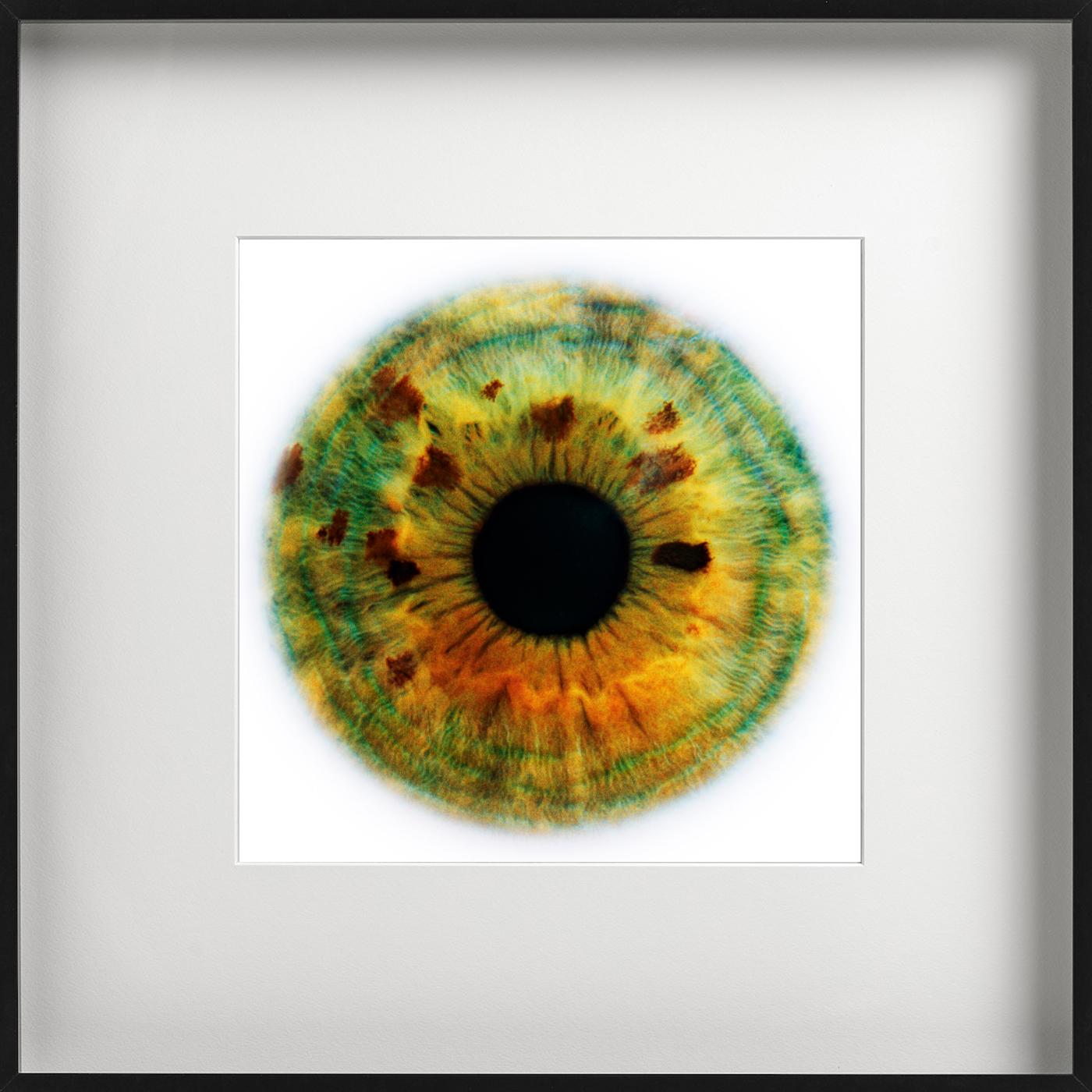 Alisa, photographie d'art, 2006 en vente 1