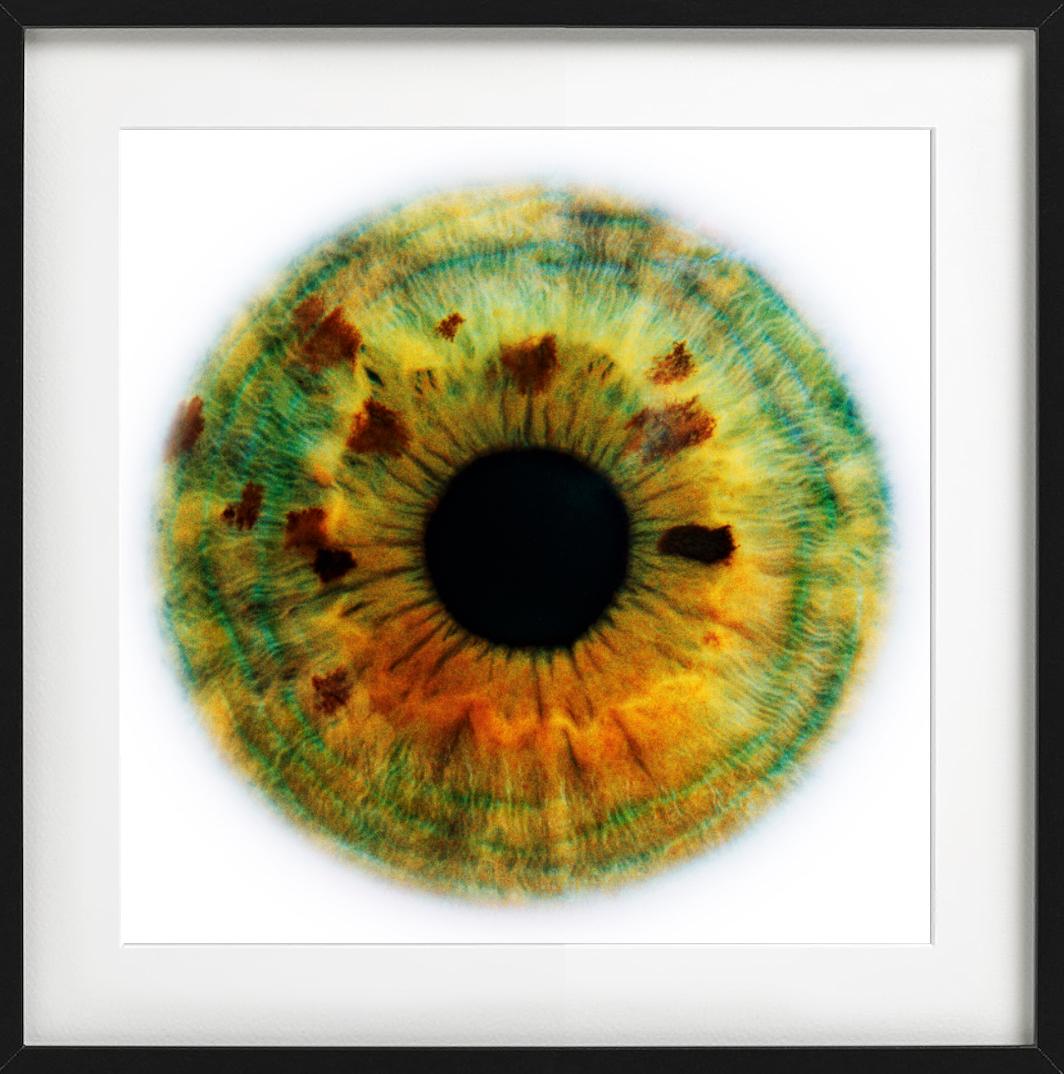 Alisa, photographie d'art, 2006 en vente 2