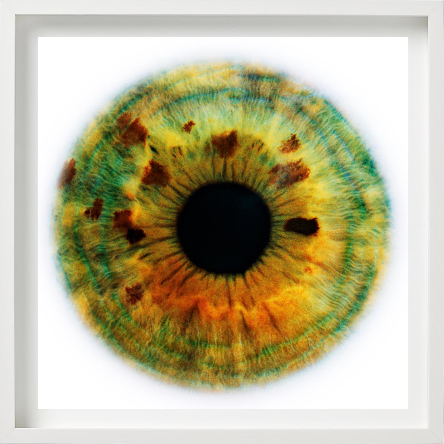 Alisa, photographie d'art, 2006 en vente 3