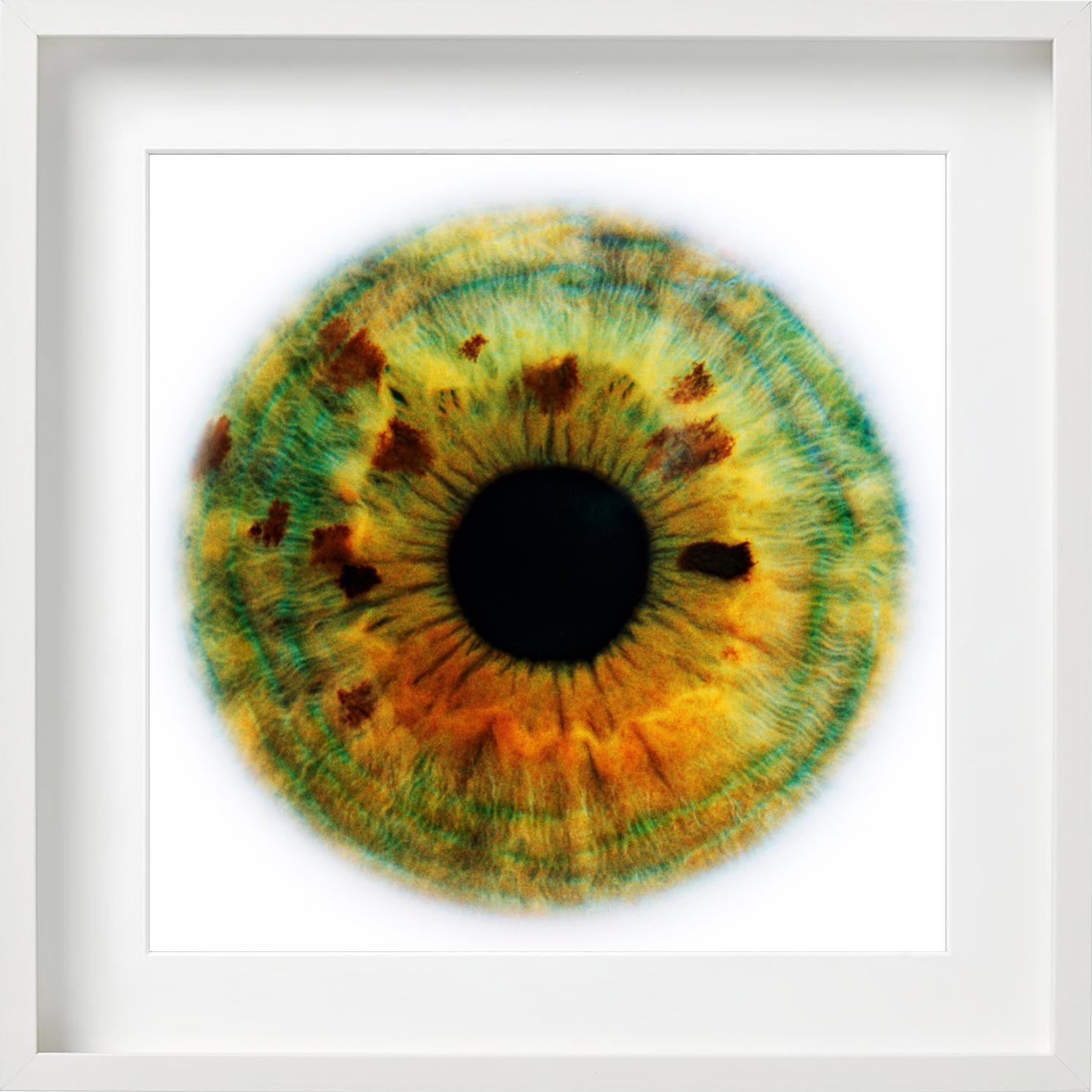 Alisa, photographie d'art, 2006 en vente 4