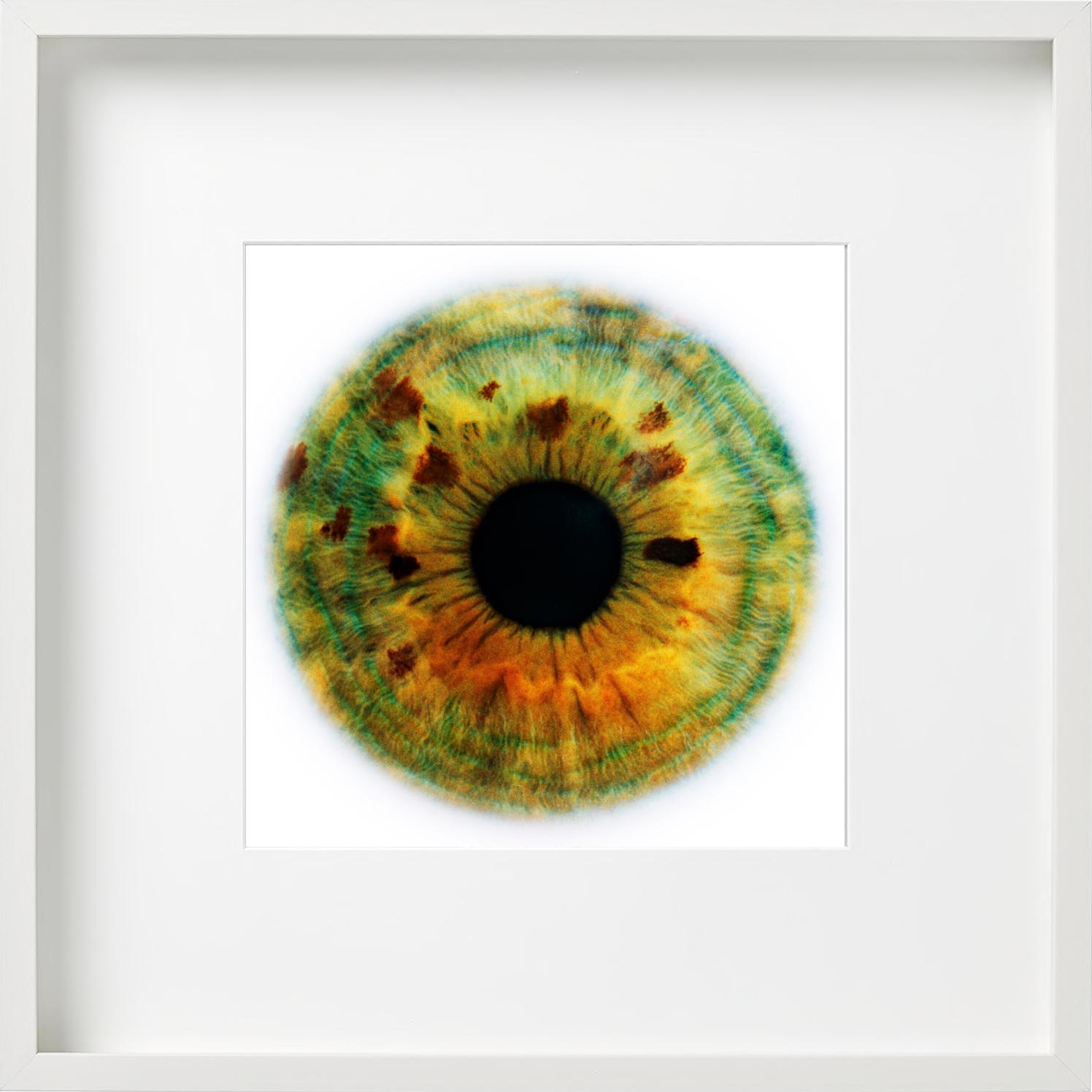 Alisa, photographie d'art, 2006 en vente 5