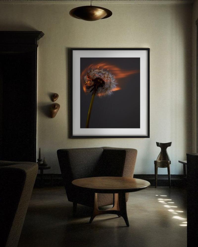 Un mondo che esplode II - Burning Dandelion, Fotografia d'autore in vendita 5