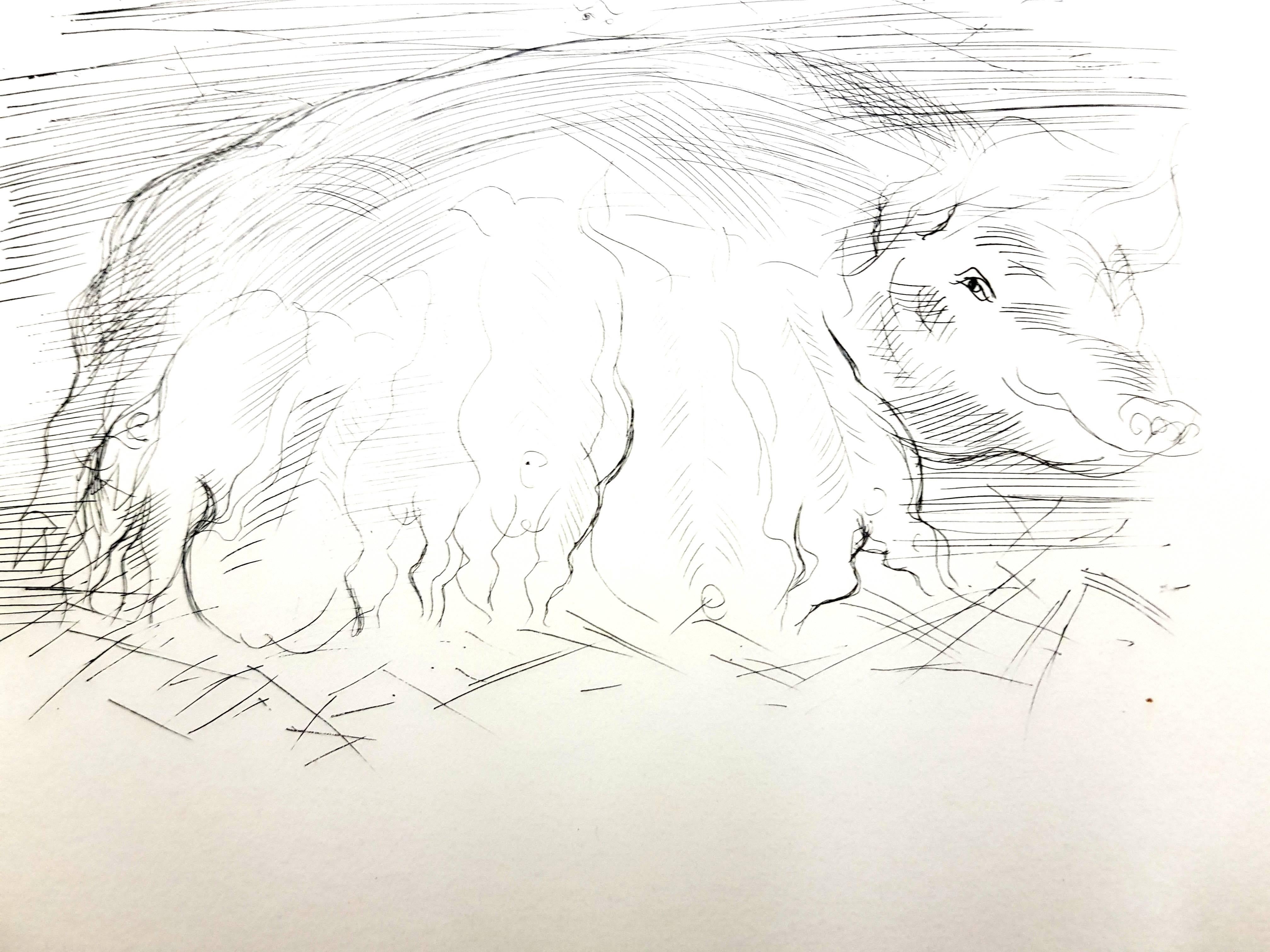 Raoul Dufy - Farm Pigs - Original Etching For Sale 1