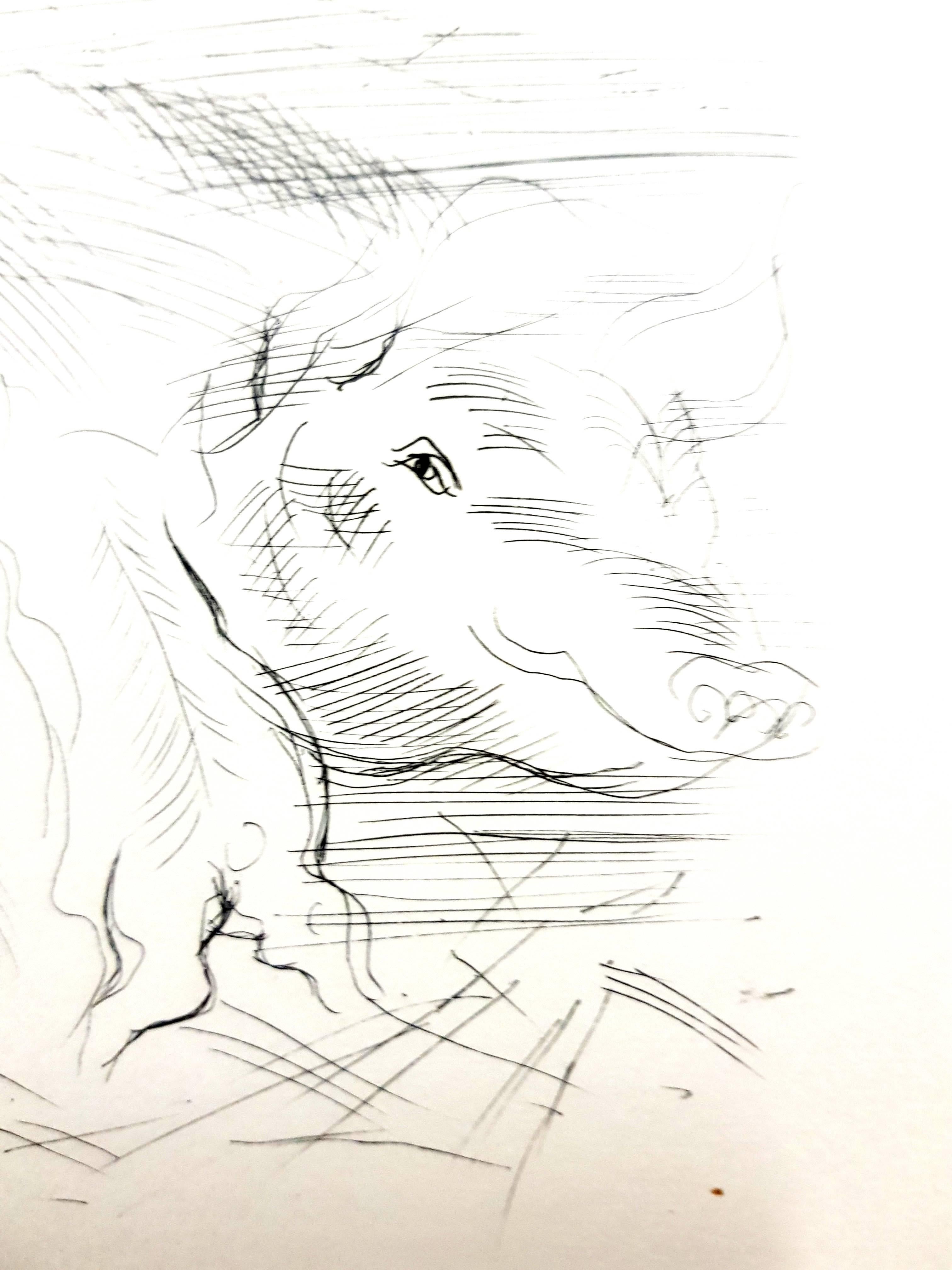 Raoul Dufy - Farm Pigs - Original Etching For Sale 3