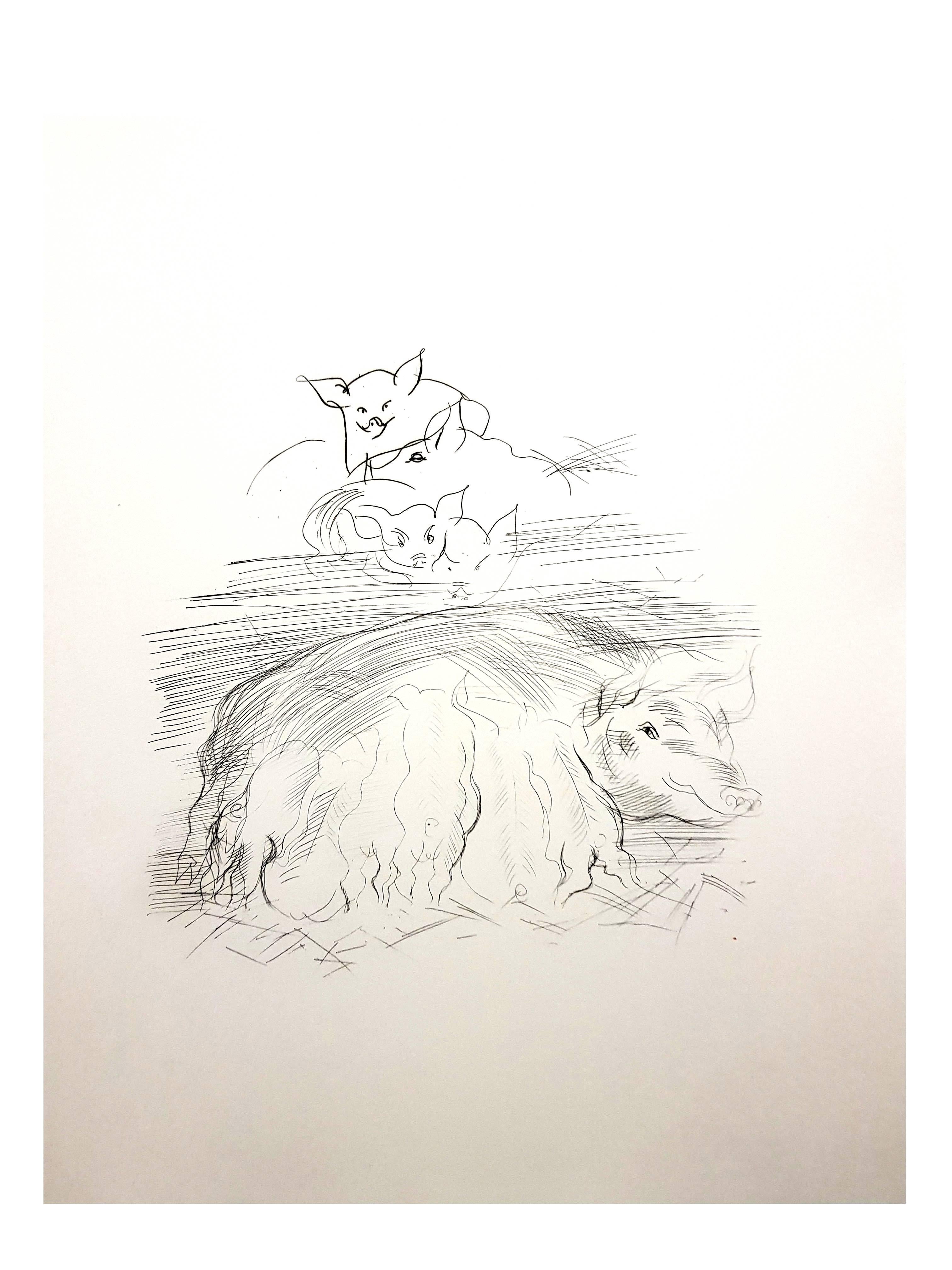 Raoul Dufy - Farm Pigs - Original Etching For Sale 4