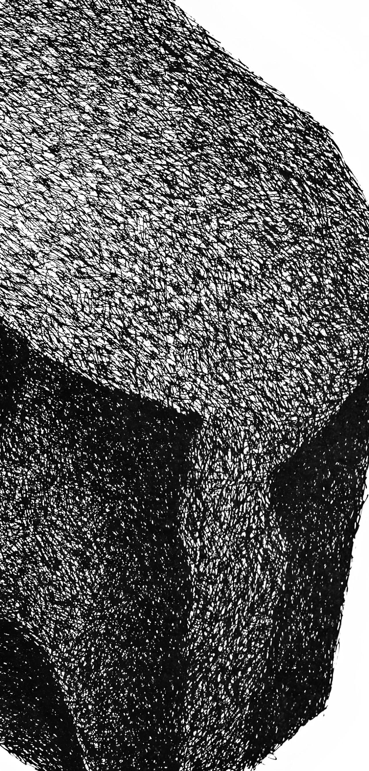 Lithograph on vélin paper. Inscription: Unsigned and unnumbered, as issued. Good condition. Notes: From Derrière le miroir, N° 251, 1980. Published by Aimé Maeght, Éditeur, Paris; printed by Éditions Pierre à Feu, Galerie Maeght, Paris. Excerpted