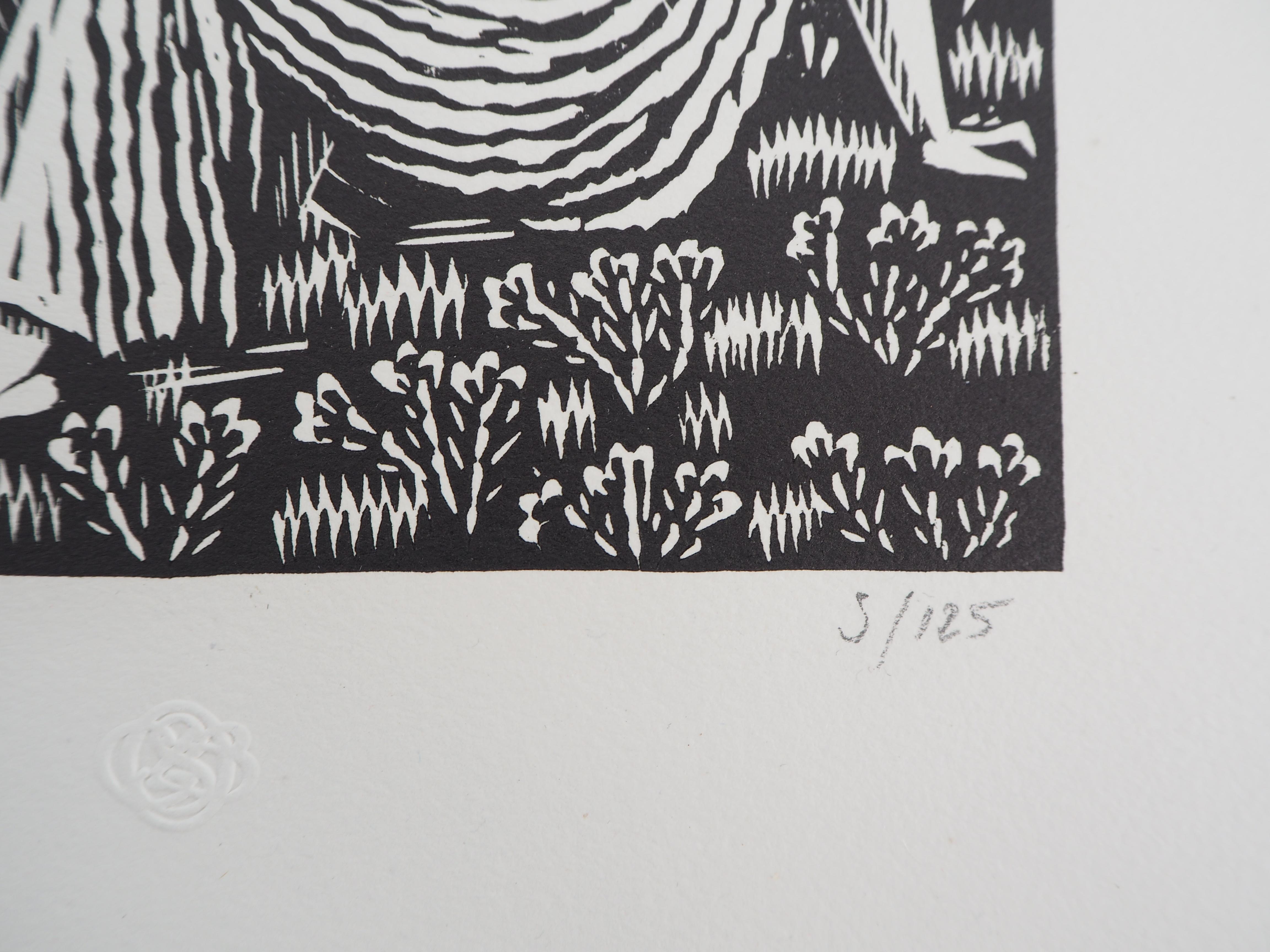 Mythology : The Hesperides Nymphs - Original Wooodcut, Handsigned - Gray Figurative Print by Raphaël DROUART